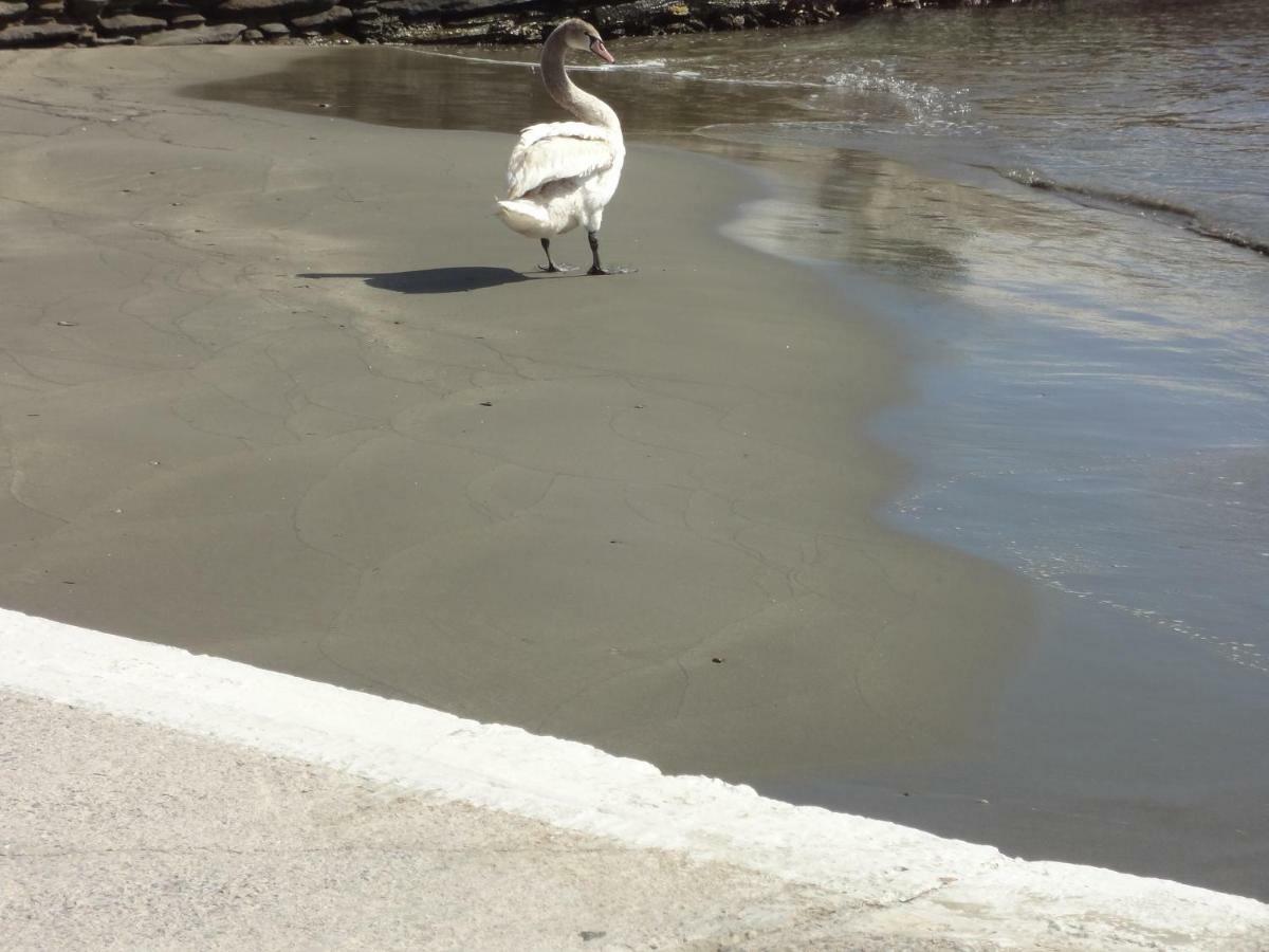 Korthi By The Seaside. *