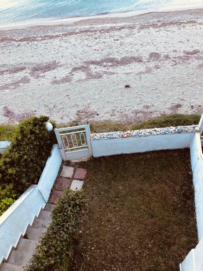 Seafront Maisonette In *