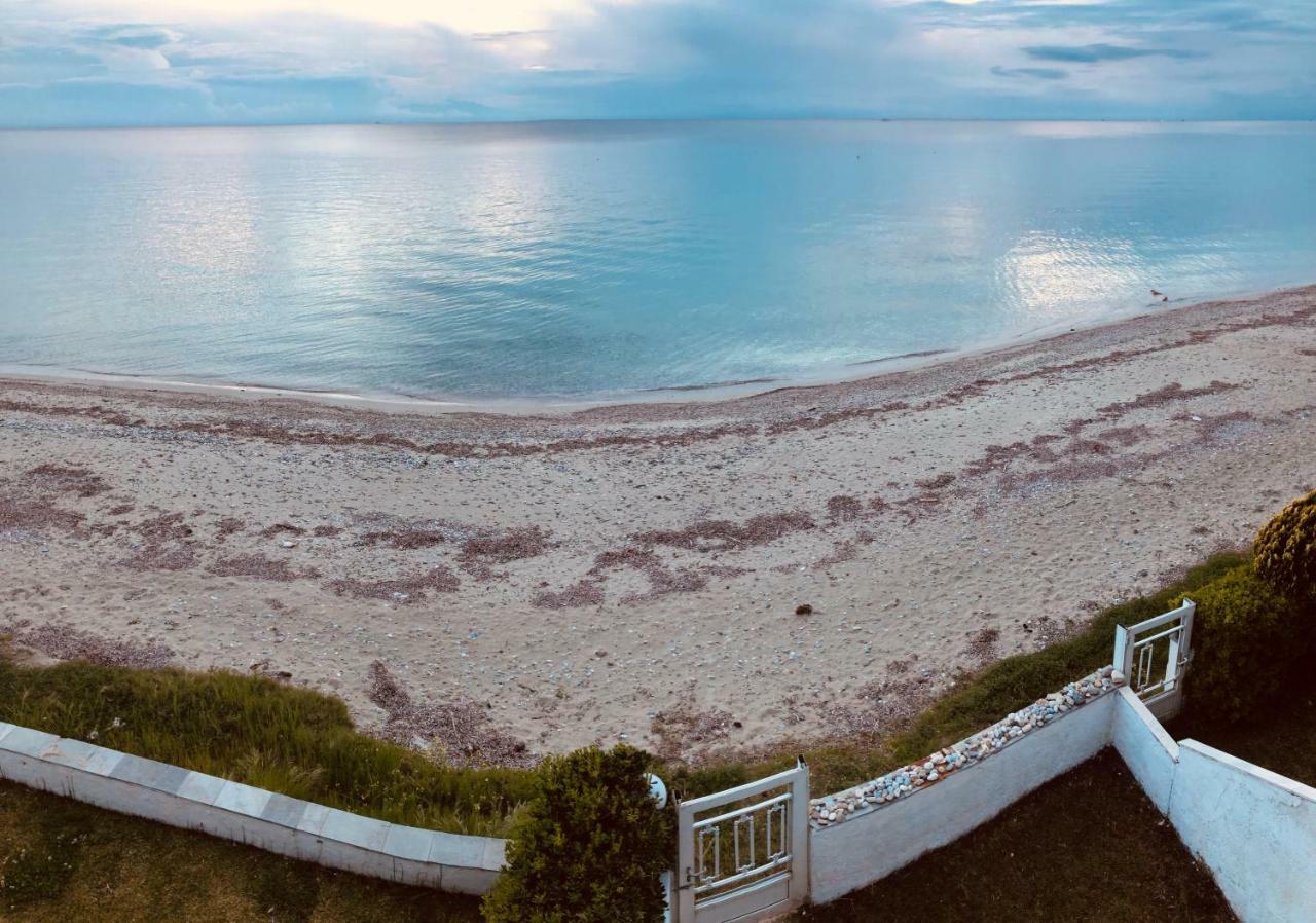 Seafront Maisonette In Holiday home *