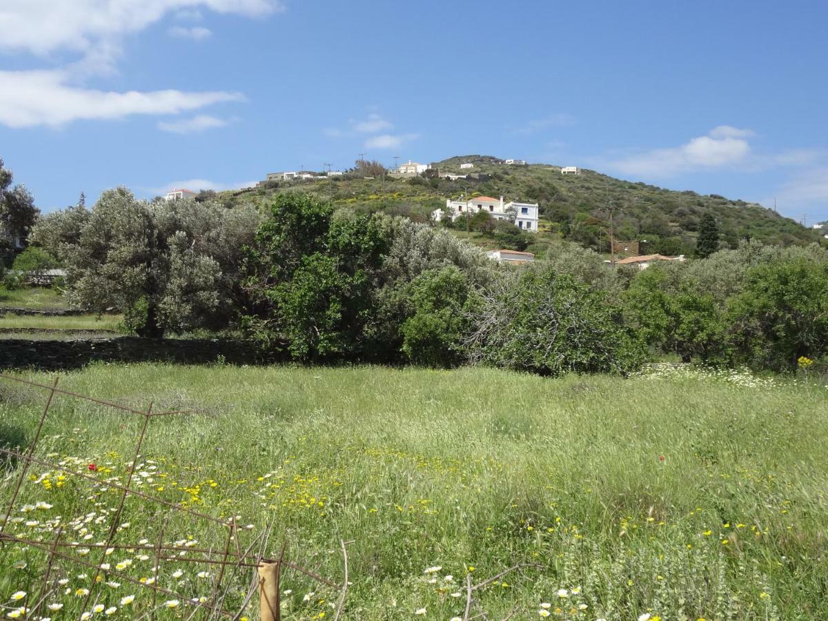 Korthi By The Seaside. Apartment Ormos (Andros)