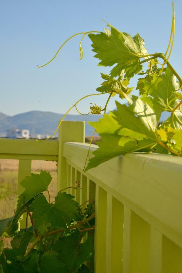 Apartment Zeras Adamantas (Milos)