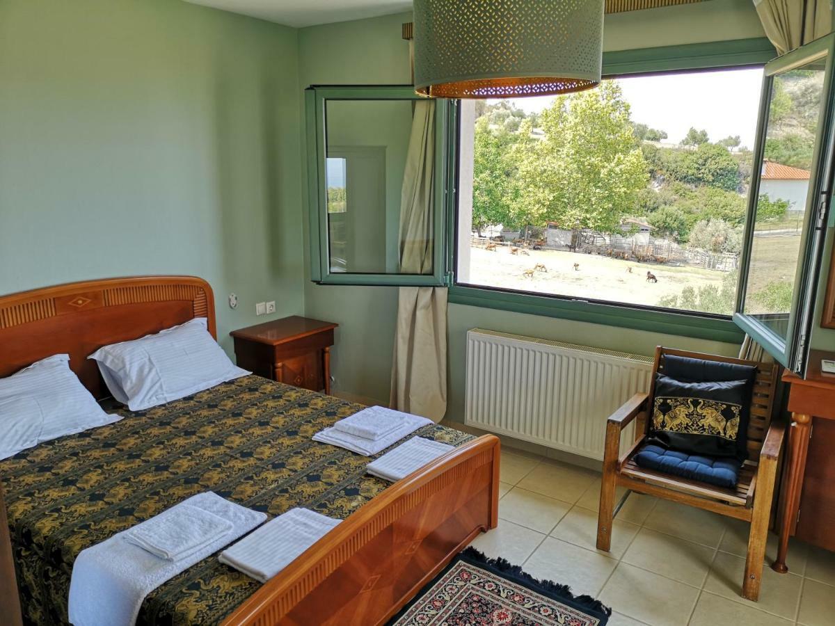 Freebird Vip Bachelor Party & Wedding Events Pefkochori