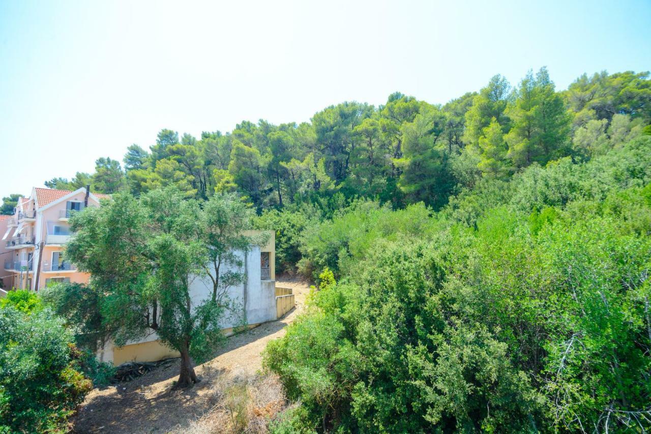 Simona's Loft * Argostoli (Kefalonia)