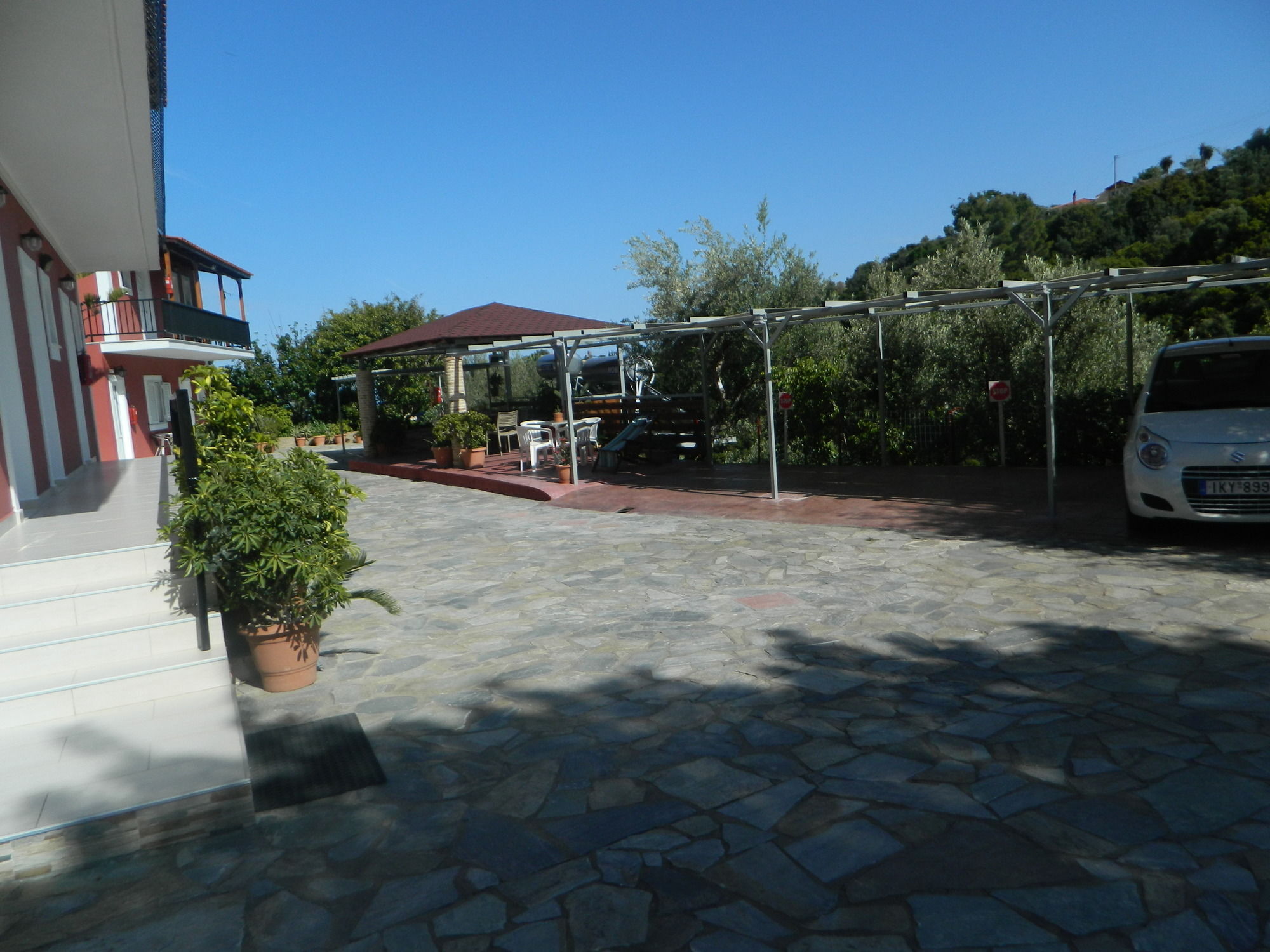 Levante Vasilikos (Zakynthos)
