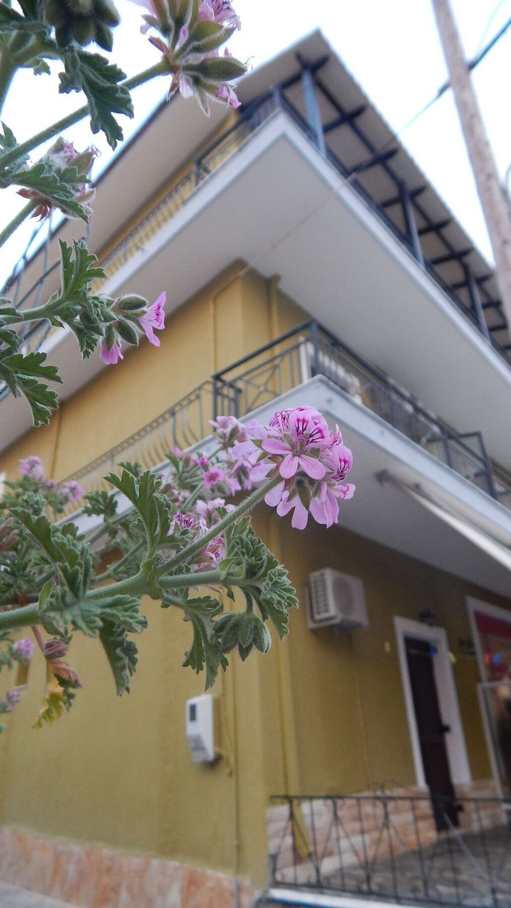 Petania & Aparthotel