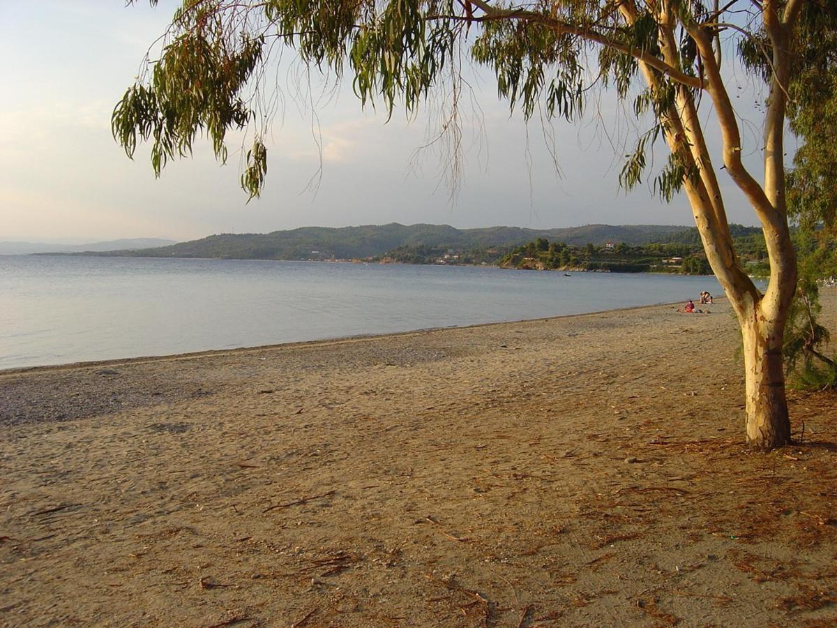 Hotel Star Paradise Neos Marmaras