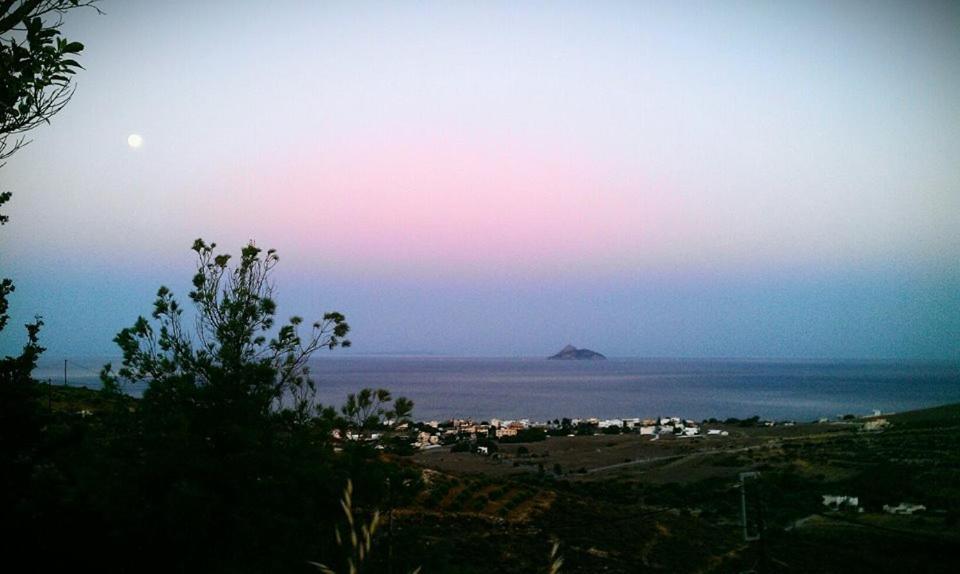 Alexandros Villa *