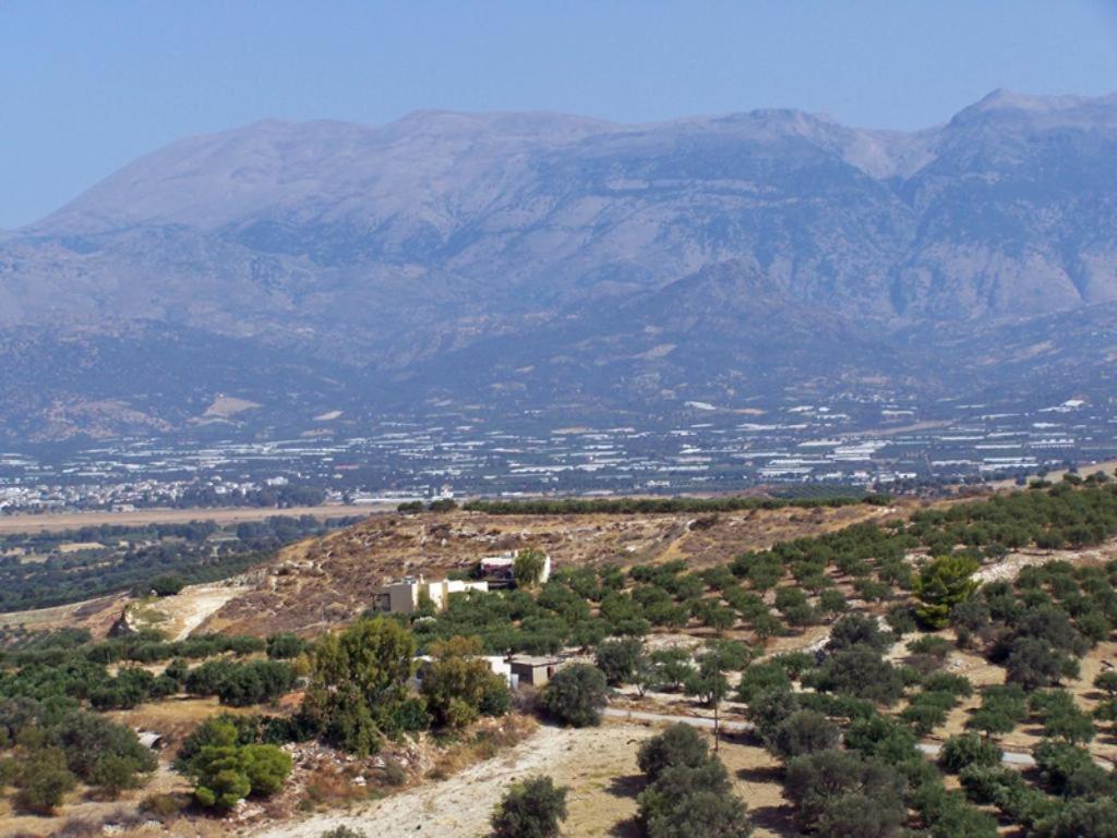 Alexandros * Kalamaki (Heraklion)