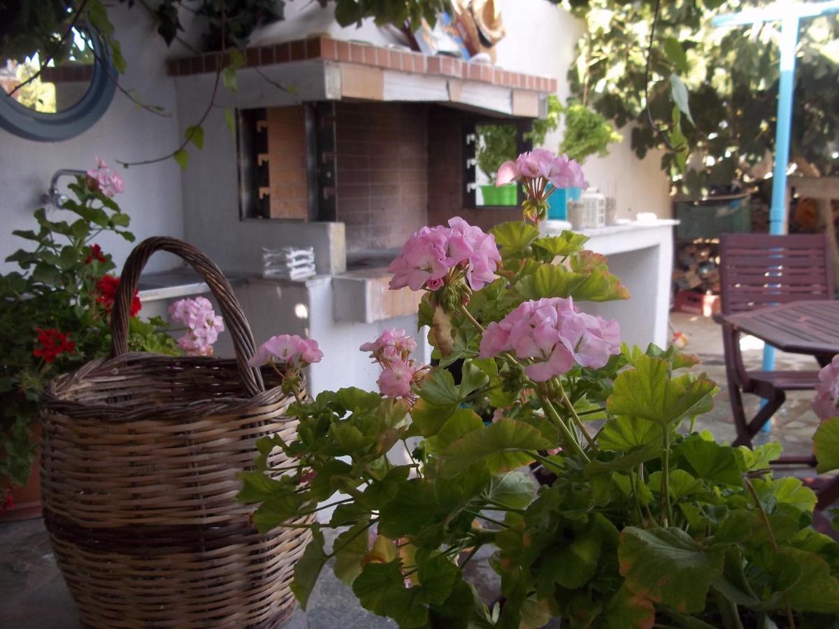 Apartment Nefeli *