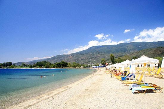 Near Paradise *