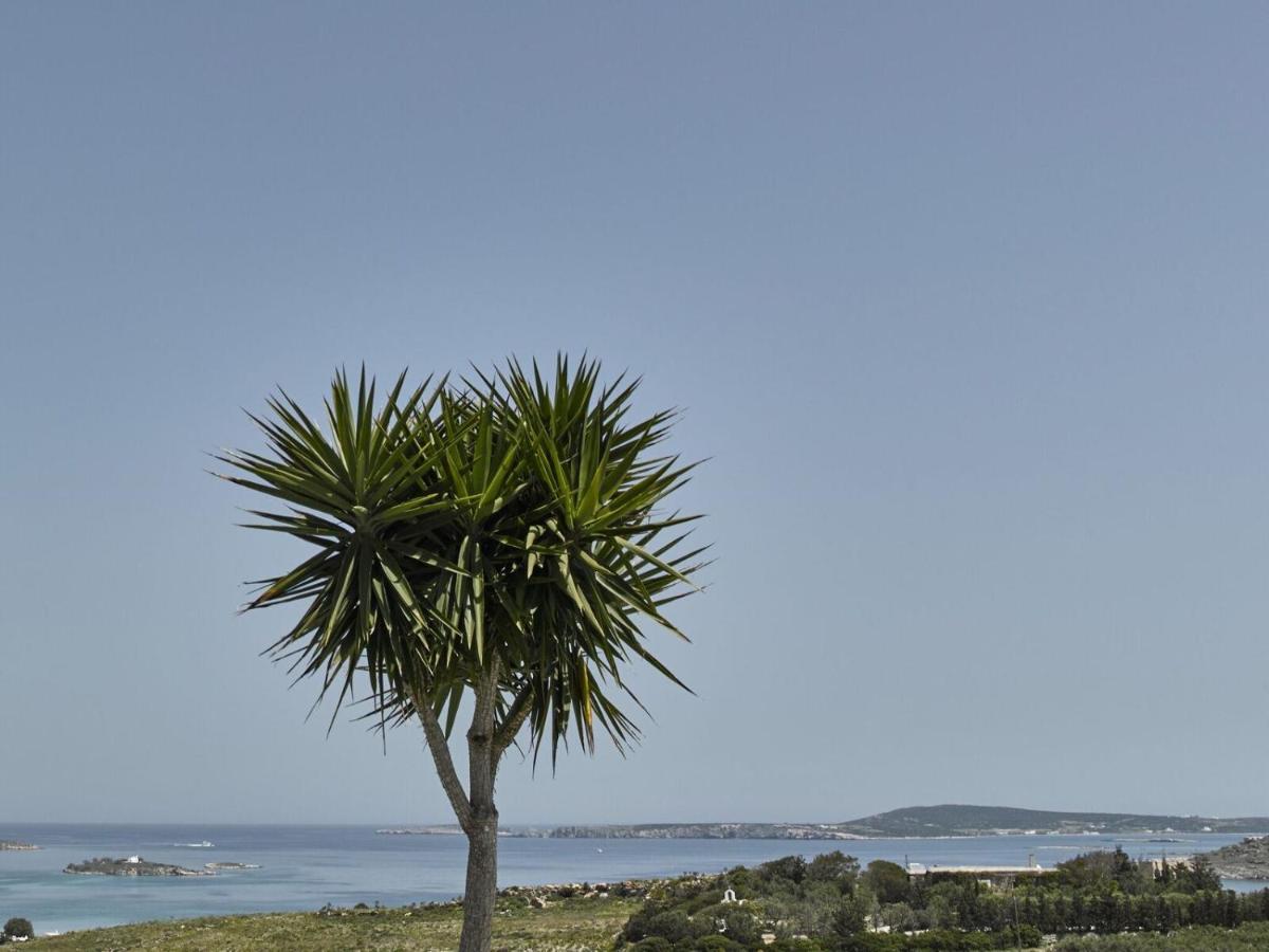 Maria Seaview Near