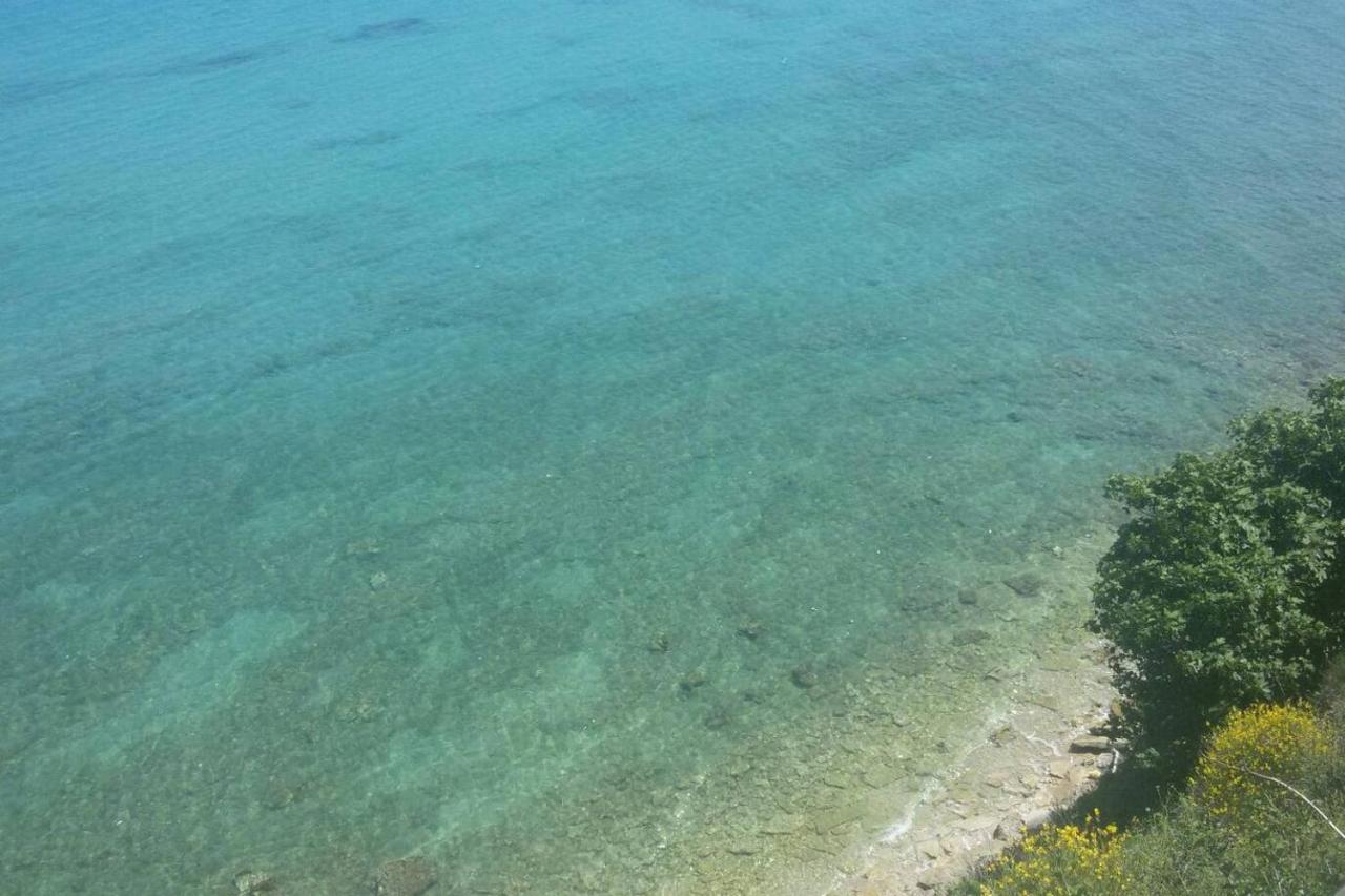 Sterre Of The Sea Apartment *