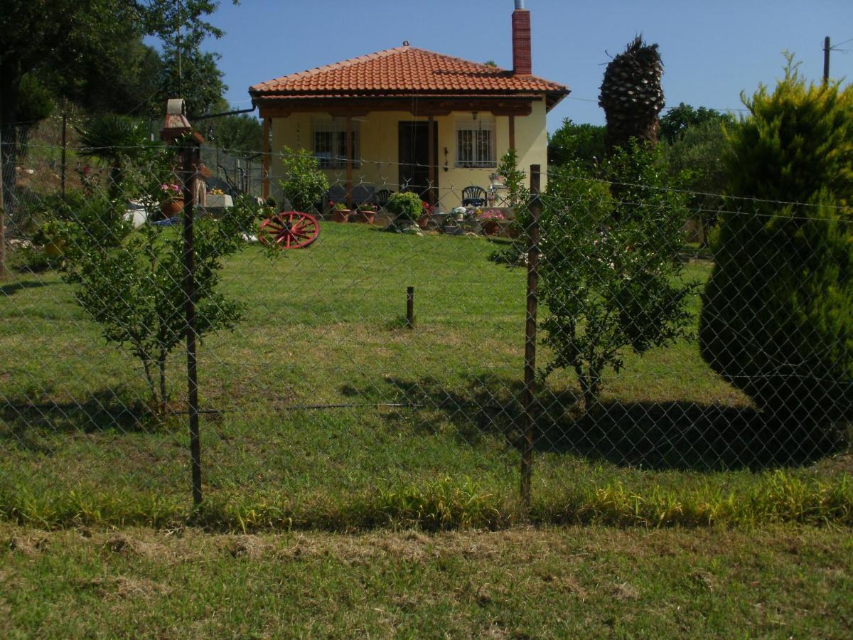 Xerxis Hill/chalkidiki τρυπητή χαλκιδικής Nea Roda