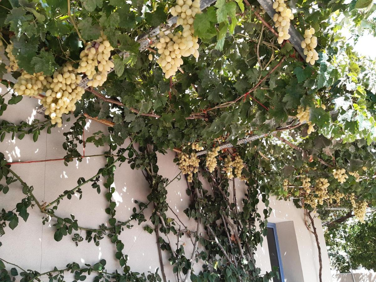 Apartment Nikolas Amoudara (Heraklion)