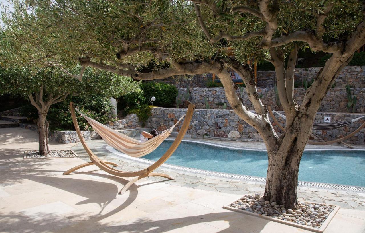 Paralos Irini Mare 4* Agia Galini (Crete)