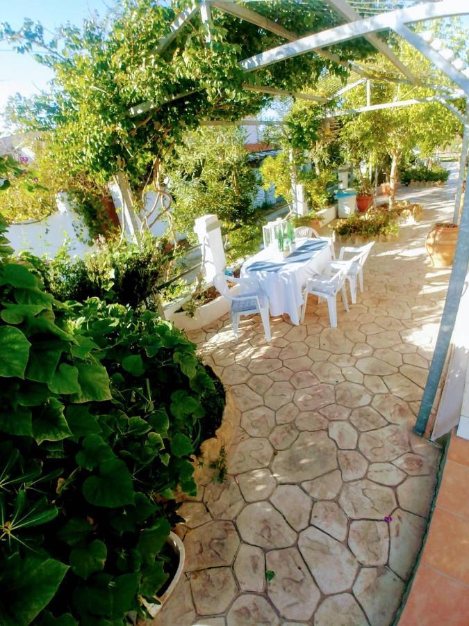 Dream Garden