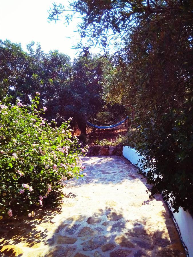 Vistamare Apartment Agios Nikolaos (Crete)