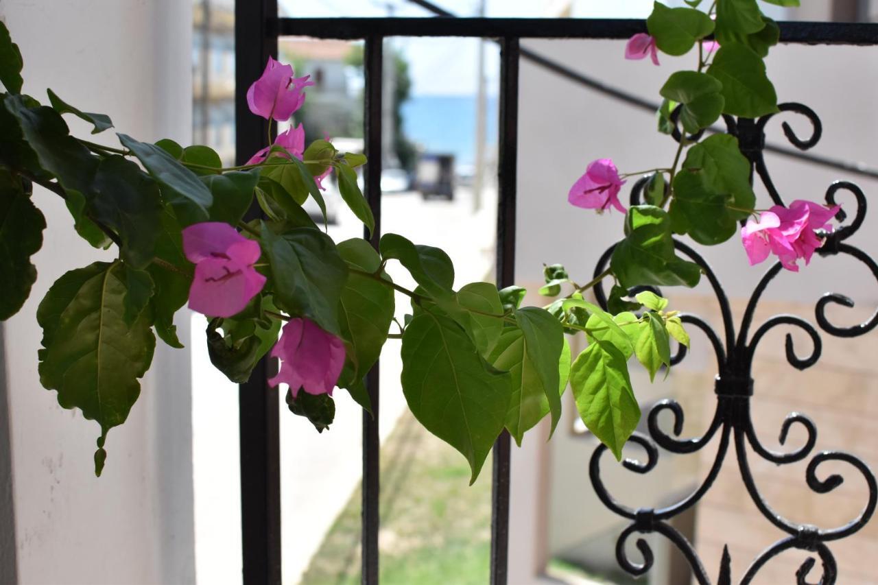 Ephelia Gold Aparthotel Laganas