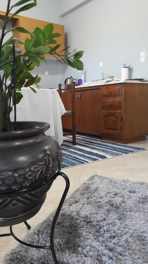 Family Apartment *