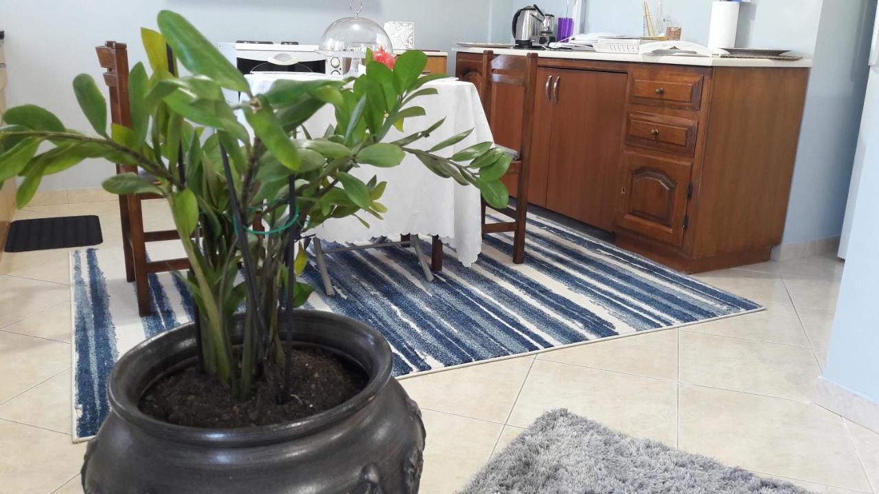 Family Apartment *