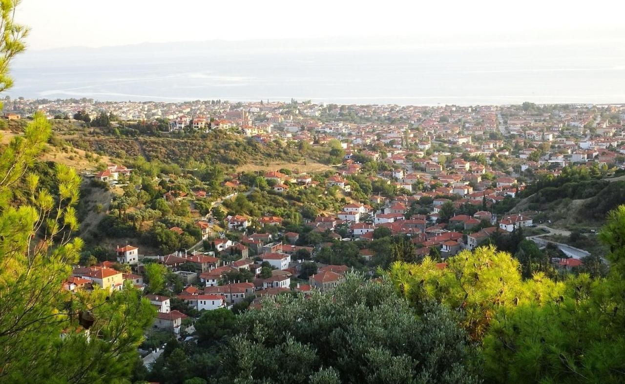 Alegria Apartment Nikiti (Sithonia)