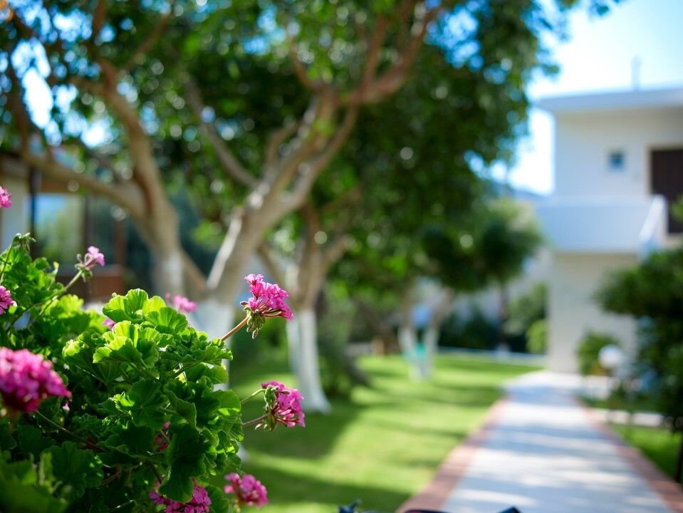 Eurohotel Katrin & (adults Only) 4* Heraklion (Crete)