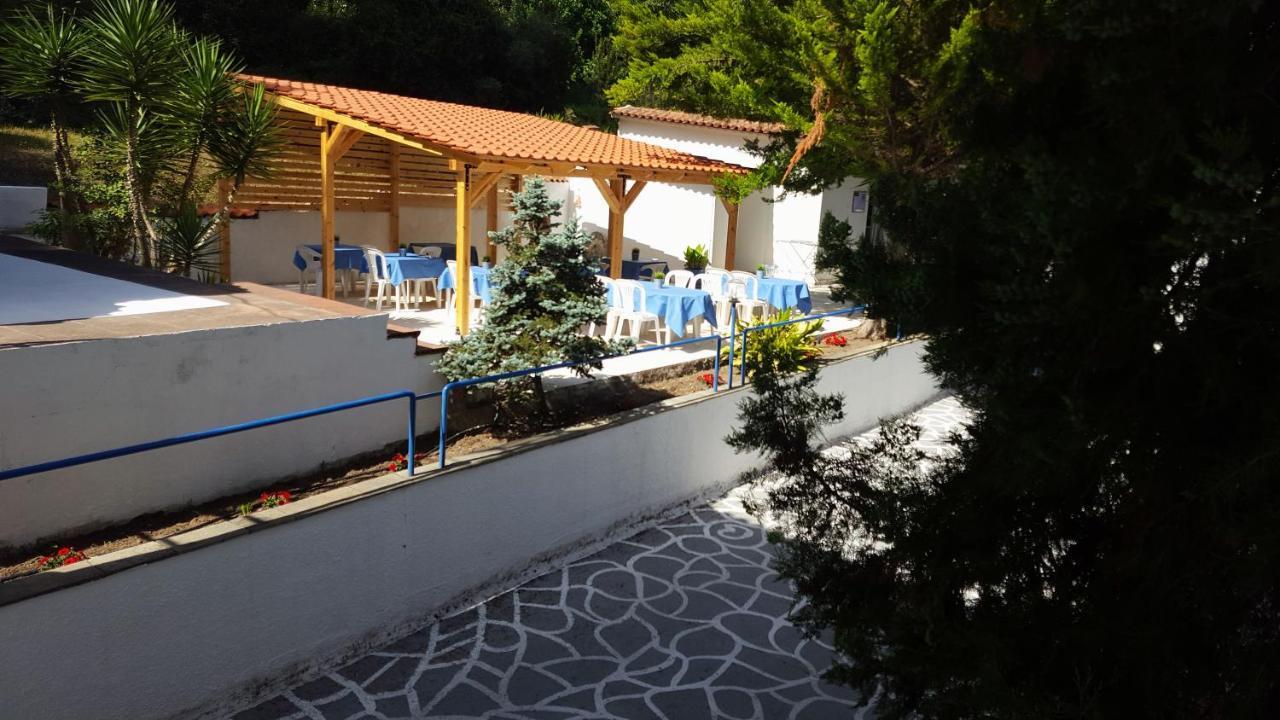 Roditsa Patritsia