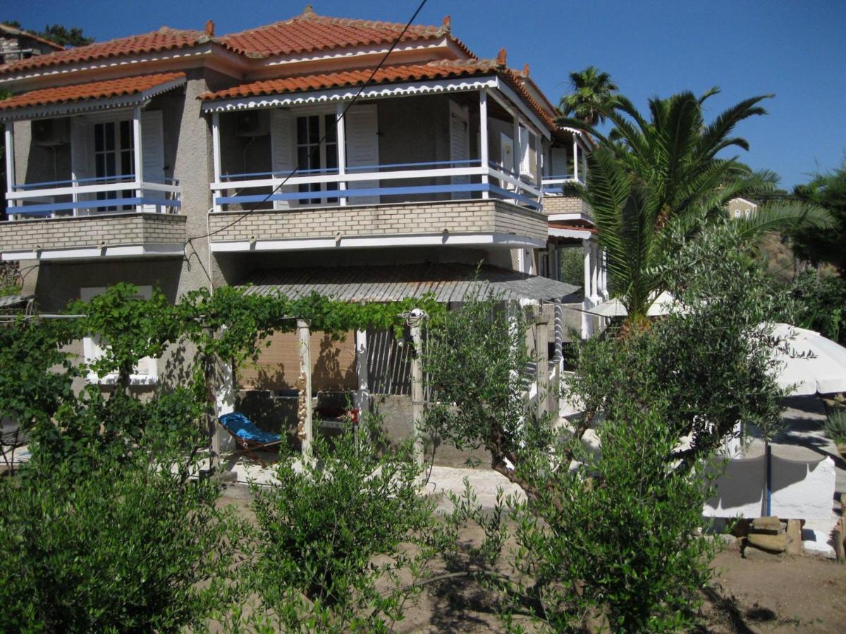Alex - Nancy - Zaga Apartment