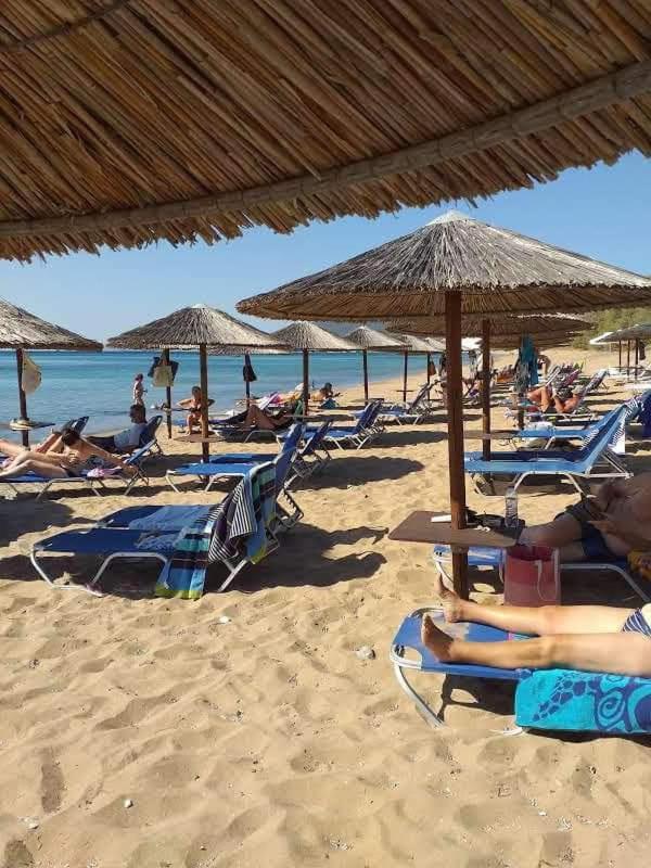 Alex - Nancy - Zaga Koroni (Messinia)