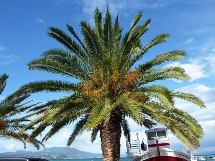 Alex - Nancy - Zaga * Koroni (Messinia)