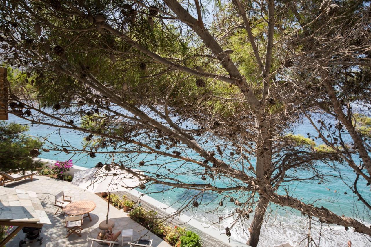 Apartment Petradi &