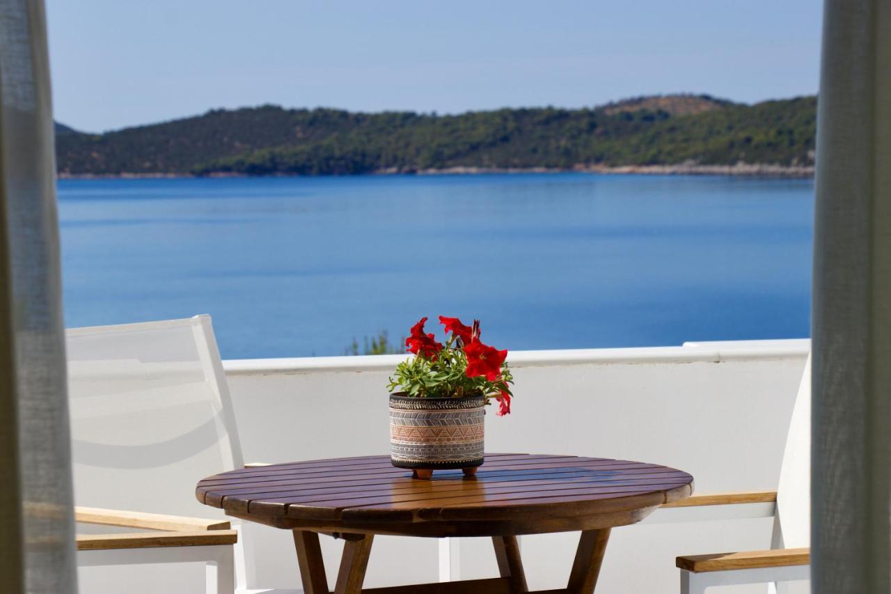 Grand Bleu & Apartment
