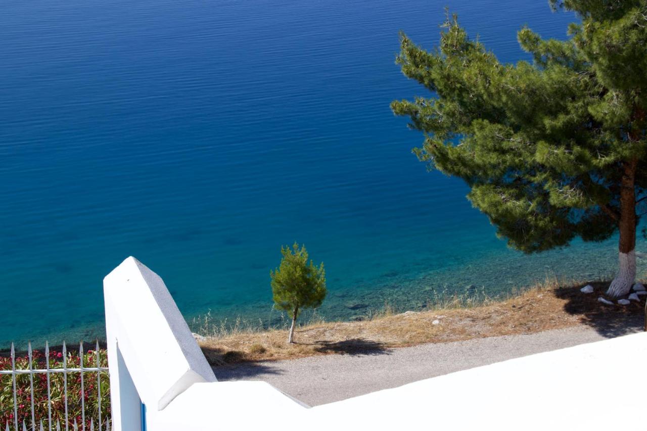 Grand Bleu & *