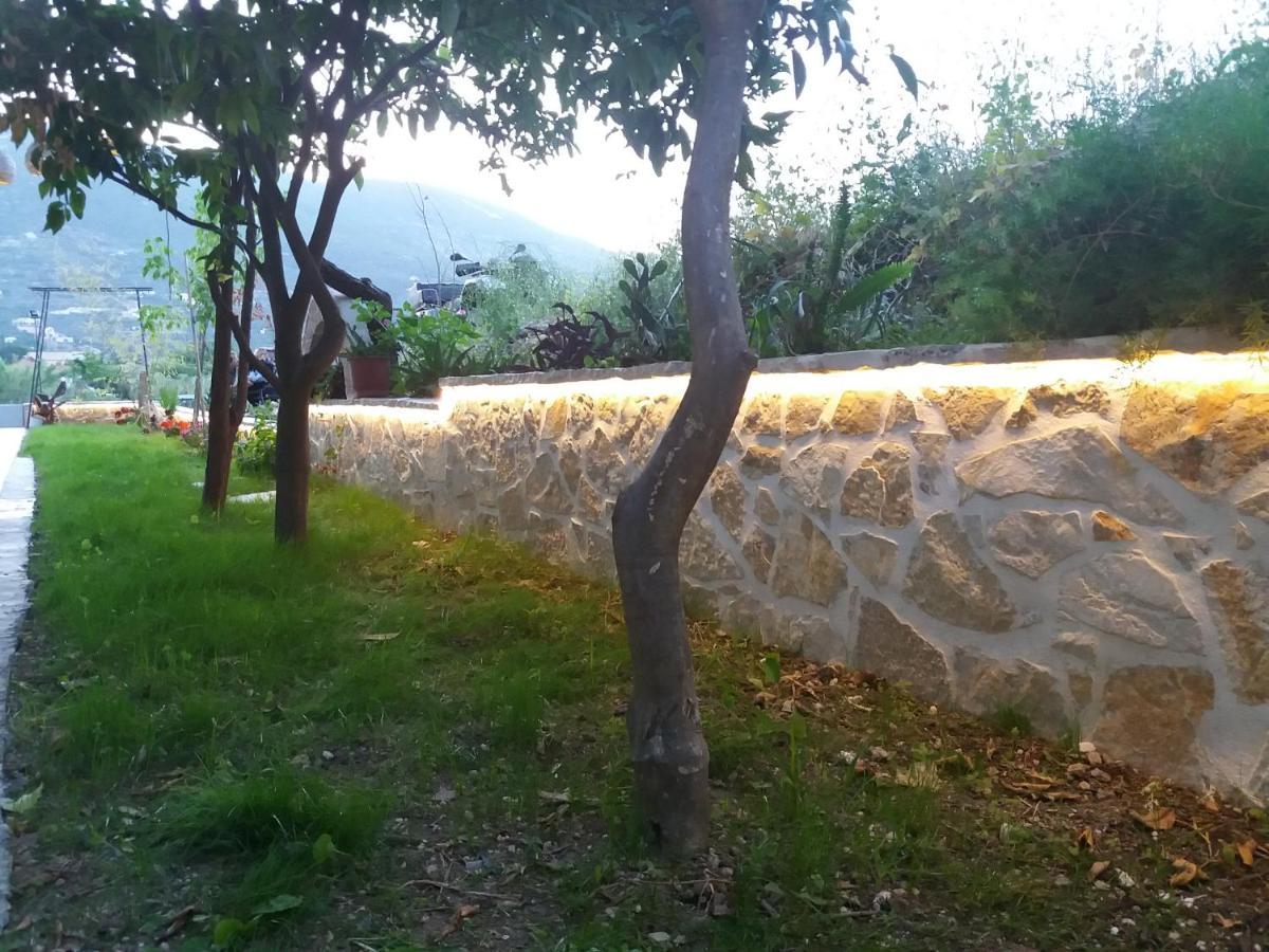 Bed & Breakfast Akrotiri 2*