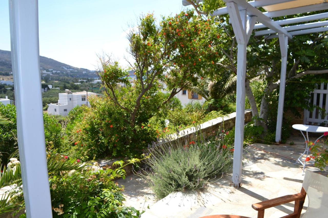 Apartment Ioanna Tinos Kionia