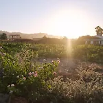 Sevoula Studios