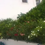 Gyrouli 1