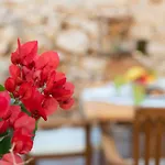 Little Karafillias Chalki House