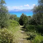 Thalia Estate