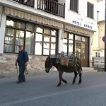 Hermes Hotel