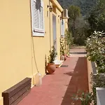 Petros Studios