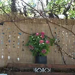House Ekton