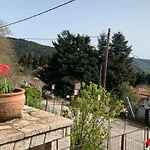 Ξύλο & Παράδοση
