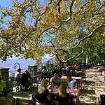 The Lotus Tree Archontiko & Pelion Activity Lodge