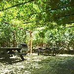 The White Rabbit Guesthouse Eco-Lodge \