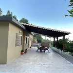 Pura Vida