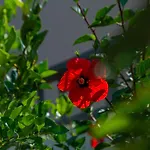 Villa Grande Crete