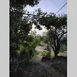 Olivia\'S Guest House