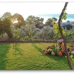 Olivia\'S Guest House