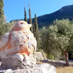 Olivetree House